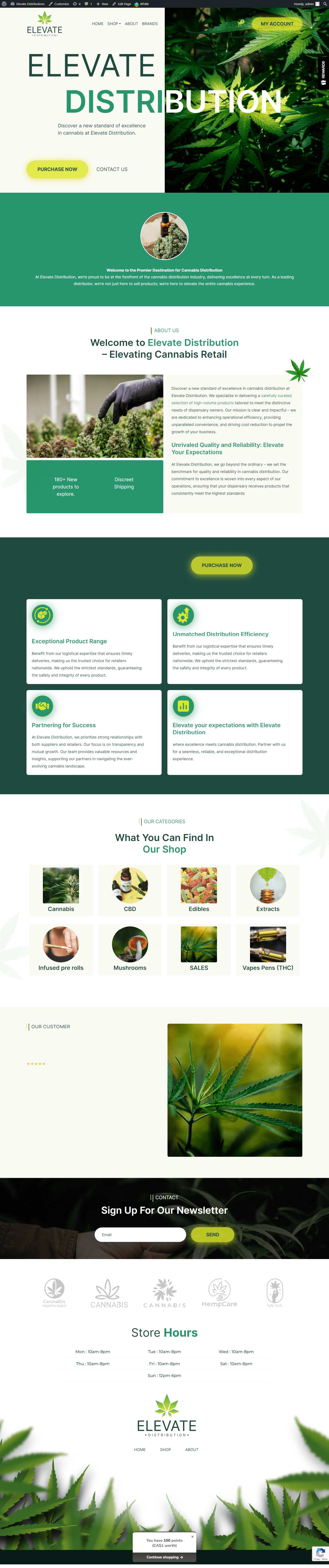 Website 2